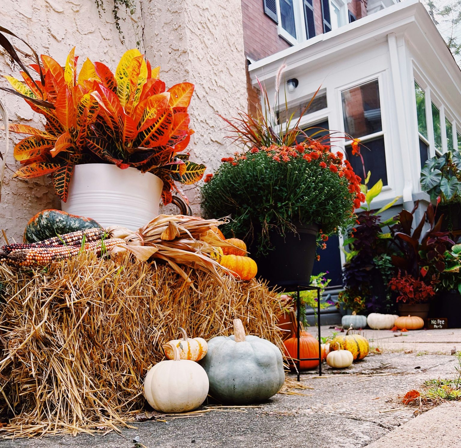 5 Awe-Inspiring October Activities to Spark Your Ultimate Fall Journey