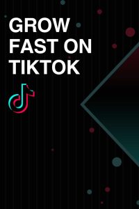 The Best TikTok Marketing Hacks for 2025 - Success Hive
